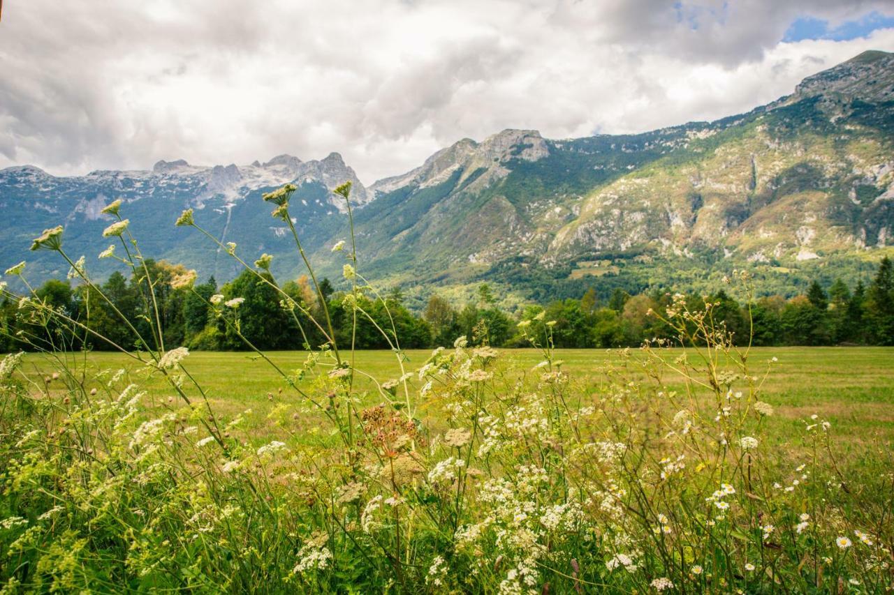 Apartments Wallas Bovec Eksteriør bilde